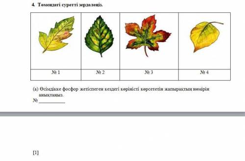 Көмектесіндерші өтнем берем жалко емес биология бул