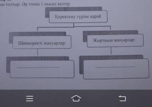 Сызбаны толтыр.Әр топқа 1 мысал келтір