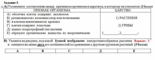 В) Укажите типы растительной ткани. A) покровная, опорная, мышечная и соединительная B) эпителиальн