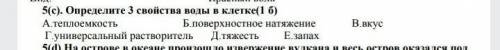 Определите 3 свойства воды в клетке очень