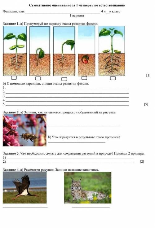 Суммативное оценивание за 1 четверть по естествознанию 4 класс