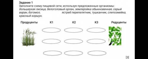 Задание 1 Заполните схему пищевой сети, используя предложенные организмы: большеухая лисица, белогол