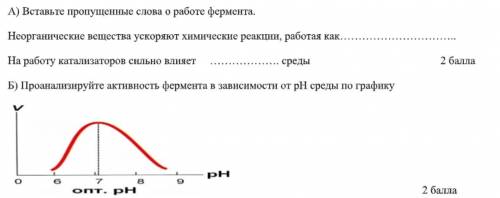 Вставьте пропущенные слова о работе фермента. Проанализируйте активность фермента в зависимости от р