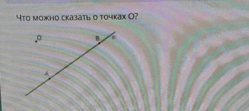 Что можно сказать о точках О?СПЧНН СОООЧ​