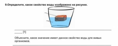 9.Определите, какое свойство воды изображено на рисунке. [1]Объясните, какое значение имеет данное