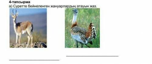 Қандай ат мынау жануарларда​