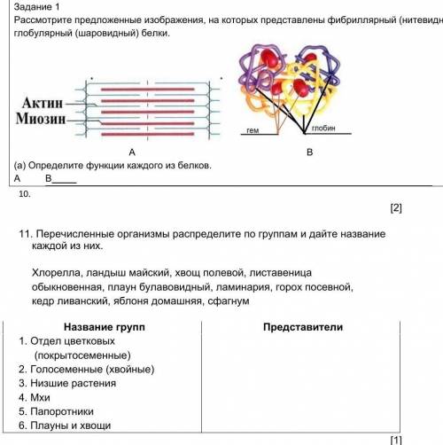 ЗАДАНИЕ НАДО РАЗОБРАТЬСЯ НУЖНО