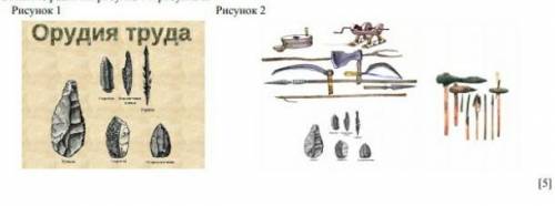 Рассмотрите иллюстрации и выполните задания 1) определите назначения орудий труда2) опишите различия
