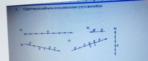 Суреттердін кайсысы кординатадык тузугн жатпайды​