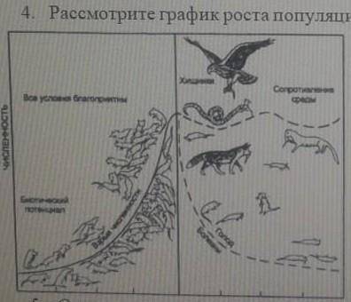 Рассмотрите график роста популяции грызунов. а) определите тип кривой части популяции грызуновв)укаж