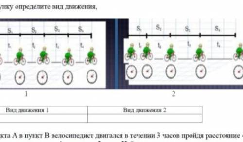 По рисунку определите вид движения​