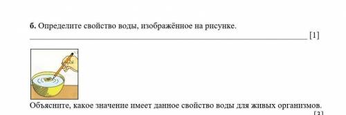 Б. Определите свойство воды, изображённое на рисунке. [1]Объясните, какое значение имеет данное сво