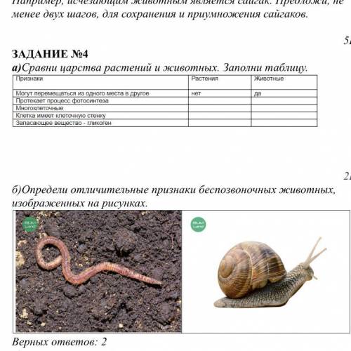 ЗАДАНИЕ №4 a)Сравни царства растений и животных. Заполни таблицу.