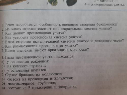 ото одни дауны балы без ответа забирвют! ответит на 7 вопросов