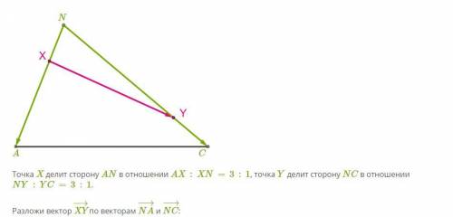 Геометрия. Якласс. Точка X делит сторону AN в отношении AX:XN=3:1, точка Y делит сторону NC в отноше