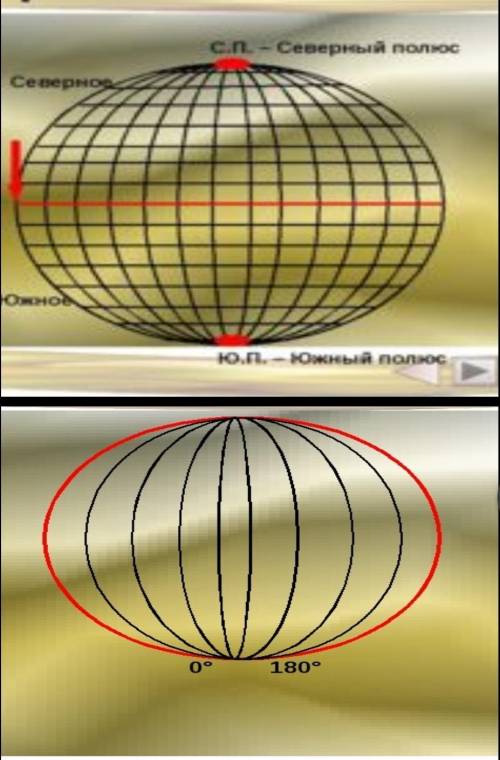 7. Отметьте на каком рисунке параллели и меридианы