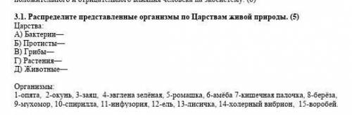 Распределите представленные организмы по Царствам живой природы.