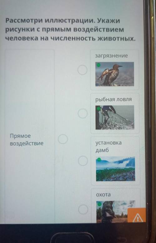 Рассмотри иллюстрации. Укажирисунки с прямым воздействием​