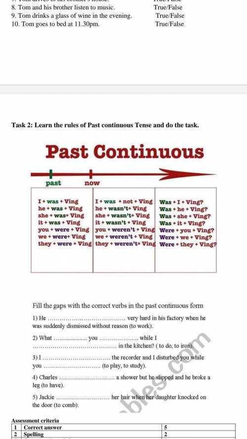 Learn the rules of Past continuous Tense and do the task. ​