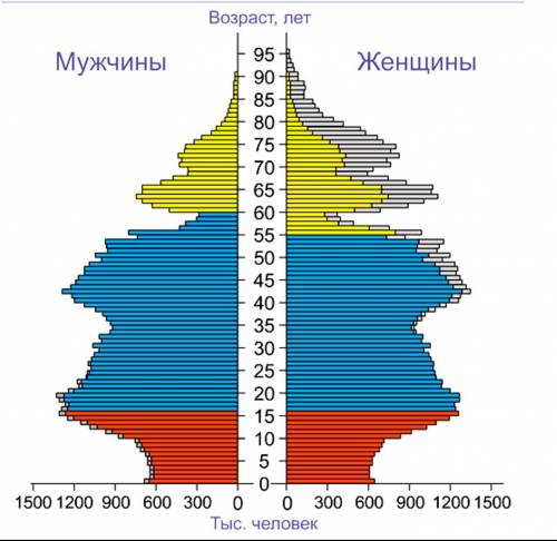 АНАЛИЗ ПОЛОВОЗРАСТНОЙ ПИРАМИДЫ. 1. Возрастная структура: какая возрастная группа преобладает, какая