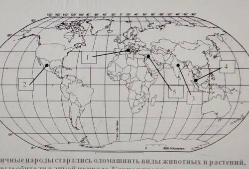 Различные народы старались одомашнить виды животных и растений, которые обитали в дикой природе. Как