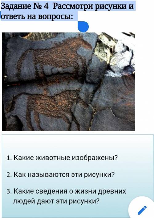 Задание № 4 Рассмотри рисунки и ответь на вопросы:какие животные изображены? Как называются эти рису