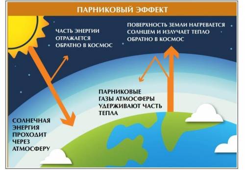 Составьте один «Толстый» вопрос по несплошному тексту