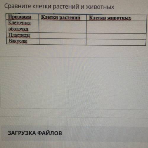 Сравните клетки растений и животных Признаки: Клеточная оболочка Пластиды Вакуоли Клетки растений: