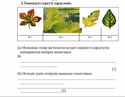 Төмендегі сөреттерді зерделеніз