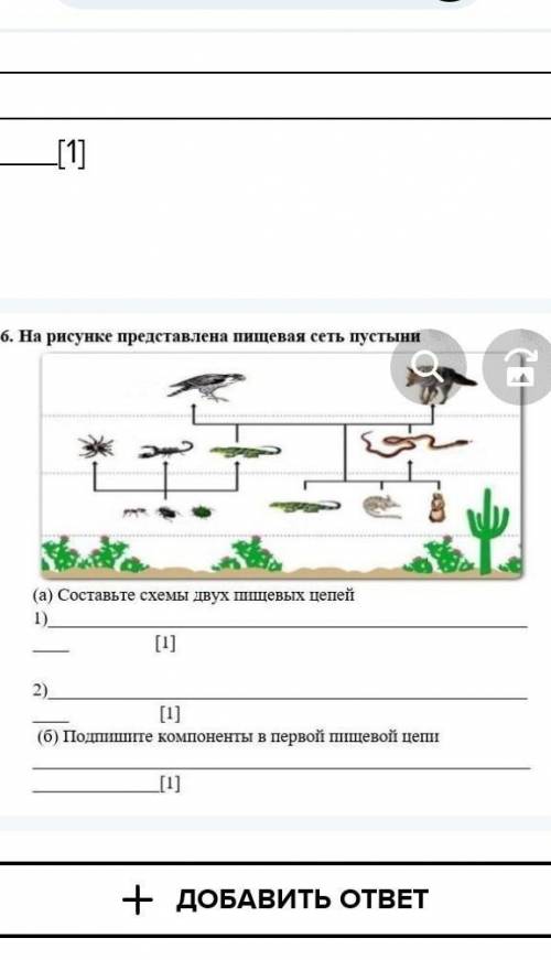 Какой у тебя вопрос? tolanlukosintolanlukosin5 дней назадБиологиястуденческий+5 б.6. На рисунке пред