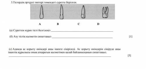 КЛАСС ТЖБ ОТВЕТИТЬ НА УПРАЖНЕНИЯ А) Б) С БИОЛОГИЯ 8 КЛАСС​