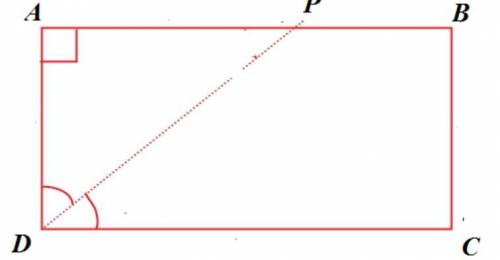 В прямоугольнике ABCD, биссектриса угла D пересекает сторону AB в точке Р, AР=12, РB=6. Найдите пери