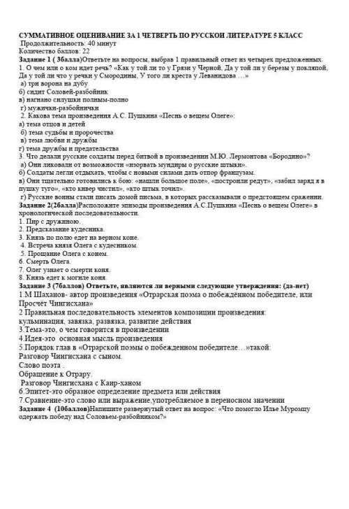 Соч по русской литературе ​