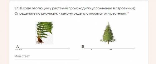 В ходе эволюции у растений происходило усложнение в строении.а) Определите по рисункам, к какому отд