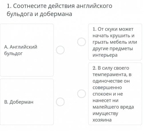 Соотнесите действия английского бульдога и добермана​