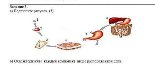 Подпишите рисунок номер (3) Охарактеризуйте каждый компонент выше расположенные цепи​