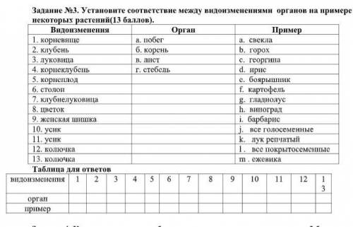 Установите соответствие между видоизменениями органов на примере некоторых растений( ).