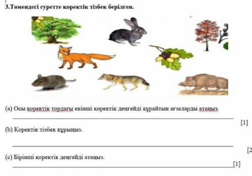 3.Төмендегі суретте қоректік тізбек берілген. і(а) Осы қоректік тордағы екінші қоректік деңгейді құр