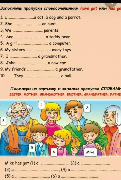 4. AnneЗаполнете пропуски словосочетаниям have got или has​