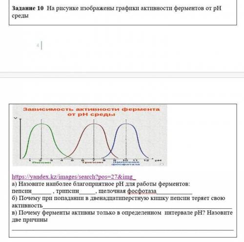 На рисунке изображены графики активности ферментов от рН среды а) Назовите наиболее благоприятное рН