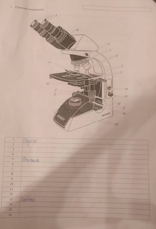 Строение микроскопа (по картинке). ​