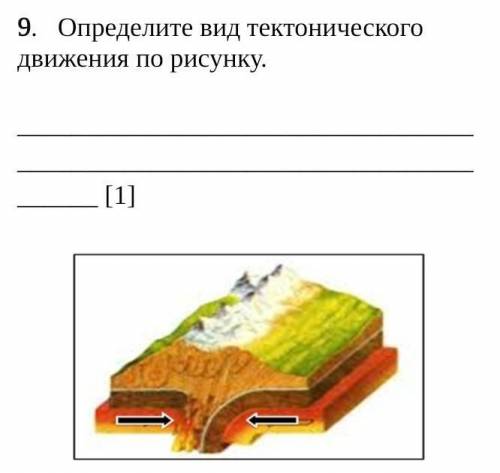 Определите вид тектонического движения по рисунку.​