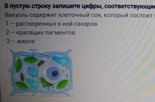 в пустую строку запишите цифры соответствующие номера правильных ответов в порядке возрастания без з