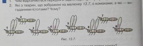 Які з тварин, що зображенні на малюнку 13.7, є комахами, а які - вигаданими істотати? Чому? ​