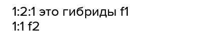 Какое расщепление по генотипу следует ожидать при скрещивании гетерозигот (моногибридное скрещивание