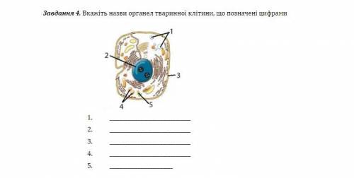 Будь ласка Практична робота з біології