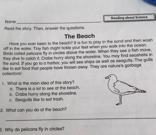 1. What is the main idea of this story? a. There is a lot to see at the beach.b. Crabs hurry along t