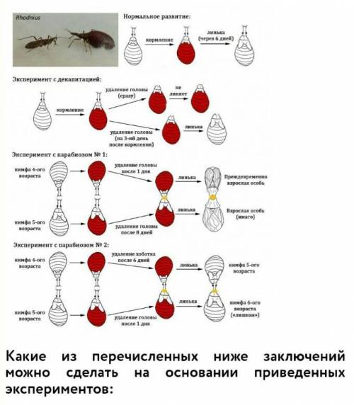 Задача 3 Винсент Брайан Уиглсуорт (Vincent Brian Wigglesworth) занимался исследованиями метаморфоза