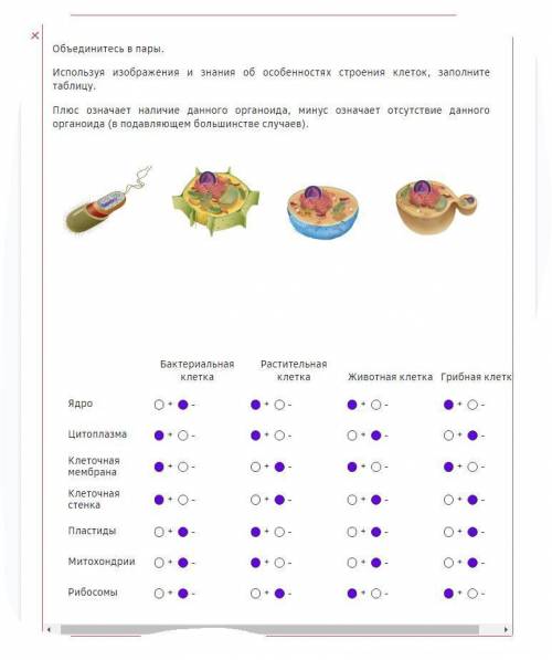 Объединитесь в пары. Используя изображения и знания об особенностях строения клеток, заполните табли