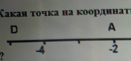 Какая точка на координатной прямой имеет координату 5. А.DB.AC.BD.Eне видно дальшеС. Е. В||.|.|.||.✓